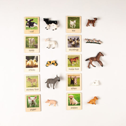 Montessori Baby Farm Animals Classification Set - Zoology Animal Sorting Material