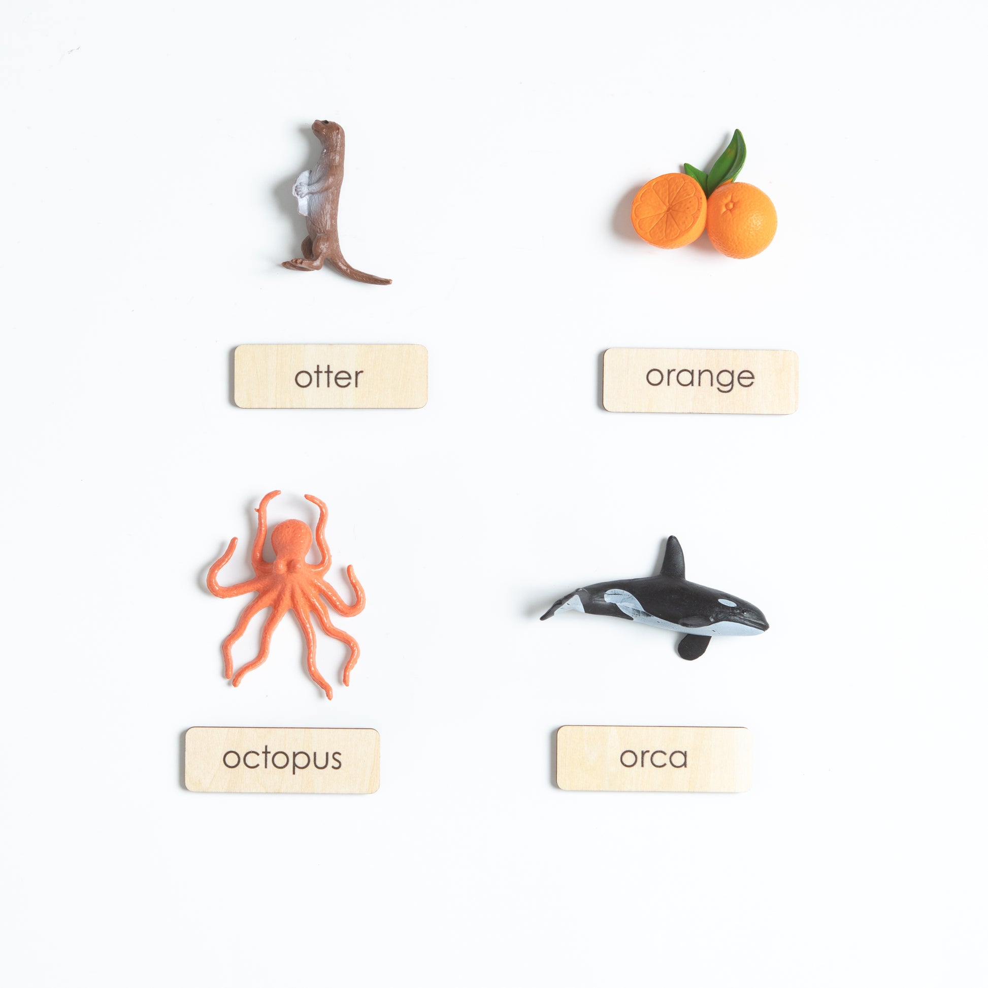 Montessori beginning sounds object set with realistic miniatures