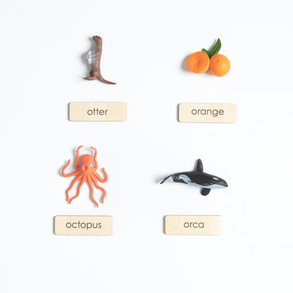 Montessori beginning sounds object set with realistic miniatures