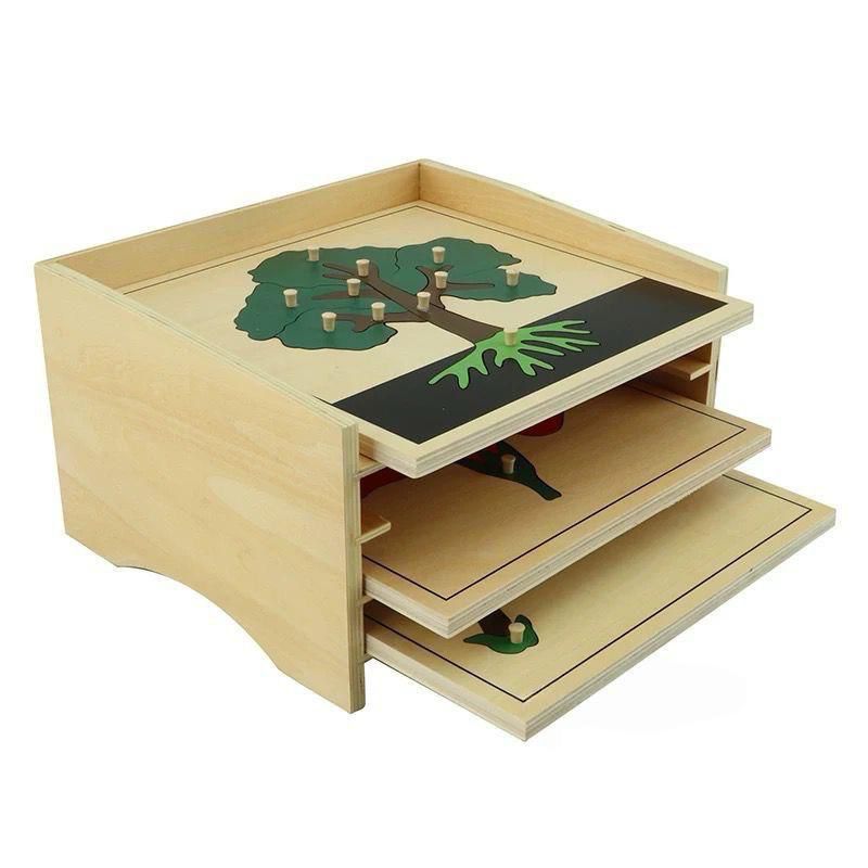 Montessori botany wooden puzzle cabinet with sliding trays for organizing leaf and plant knob puzzles