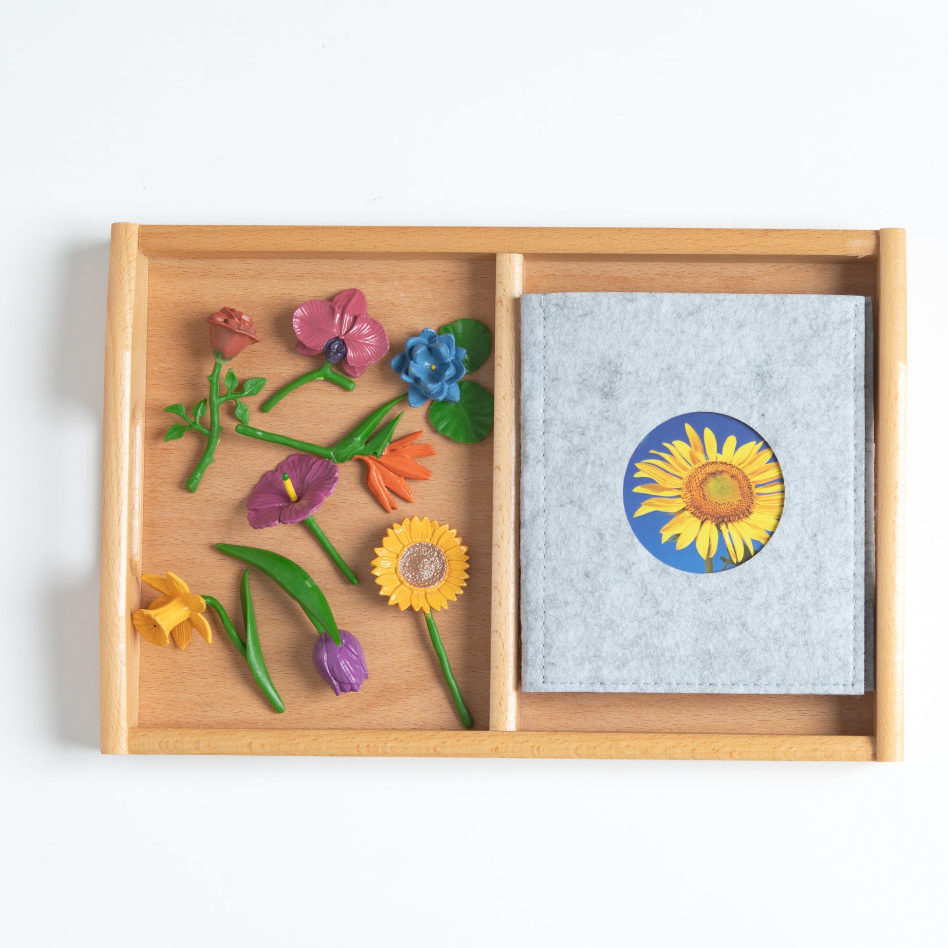 Montessori botany flower classified cards arranged with mini objects in a learning tray