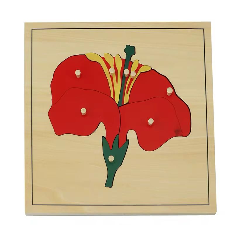 Montessori botany flower puzzle with wooden knobs for learning flower parts