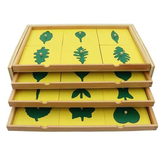Montessori botany leaf cabinet with 4 drawers and leaf shape insets for hands-on plant learning