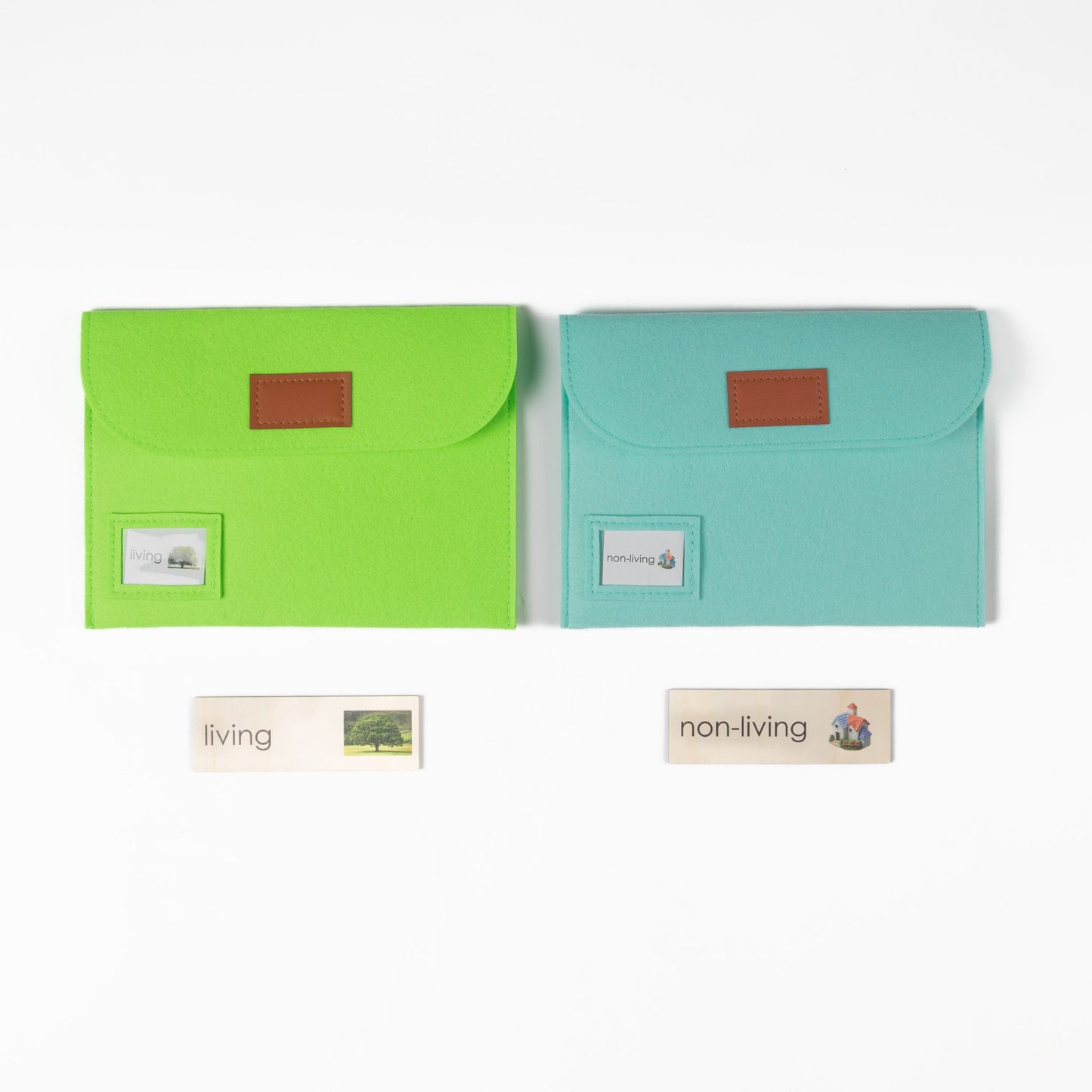 Montessori botany leaf types classification cards showing different leaf shapes