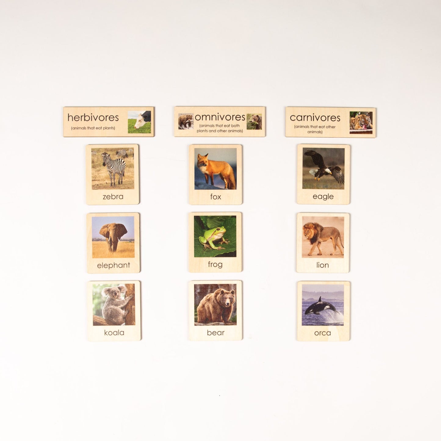 Montessori botany and zoology classification sets displayed in a grid for classroom and homeschool use