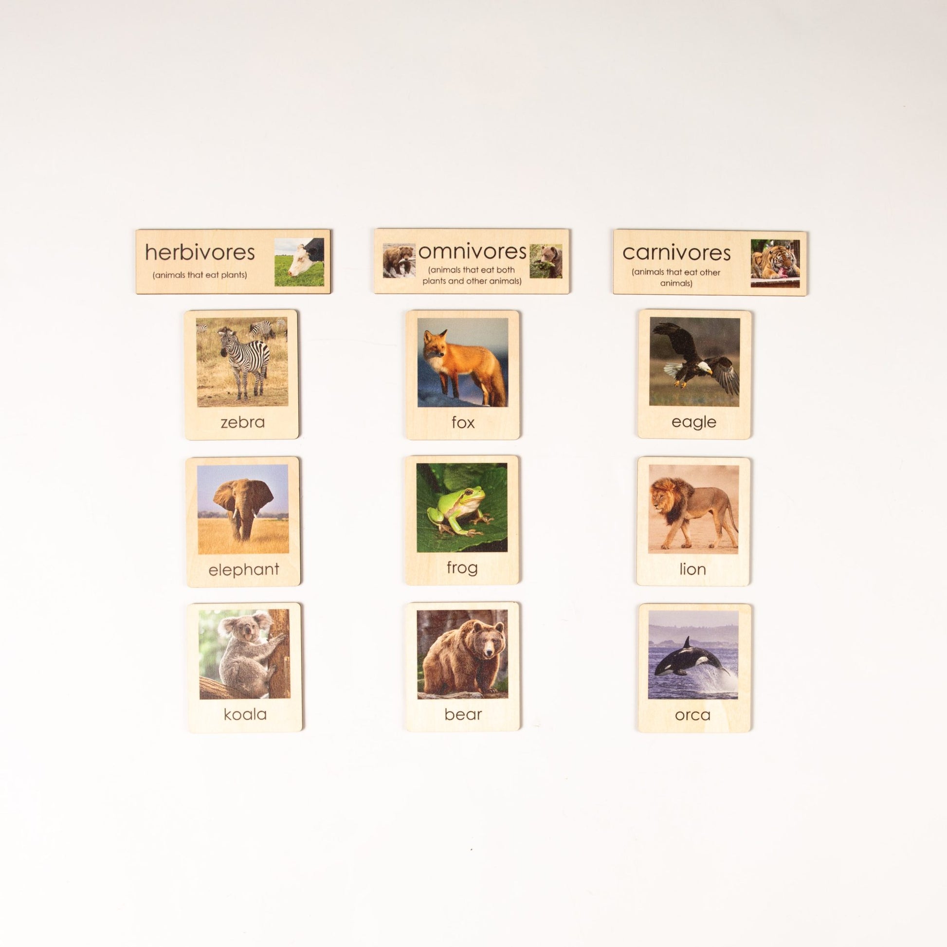 Montessori botany and zoology classification sets displayed in a grid for classroom and homeschool use