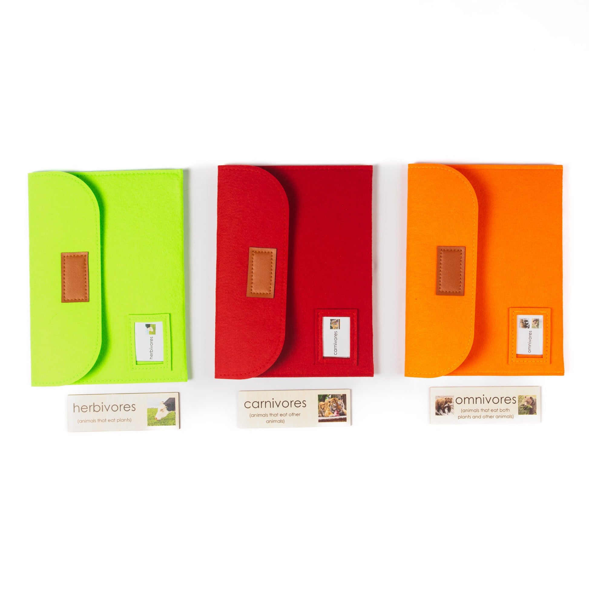 Montessori botany and zoology mini objects used for hands-on classification activities