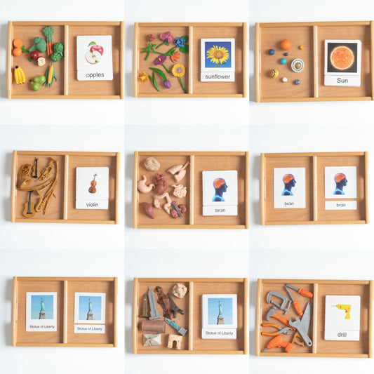 Montessori classification bundle with 3-part nomenclature cards and mini objects arranged across multiple trays