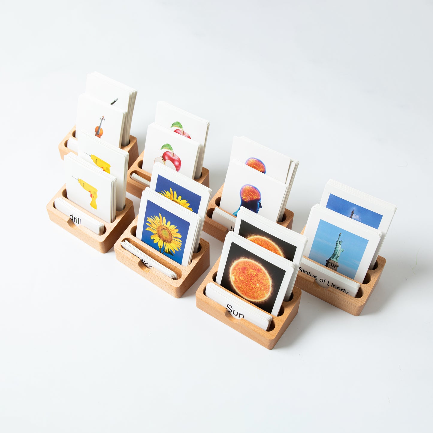 Montessori classification trays neatly organized with 3-part cards and mini objects for classroom use