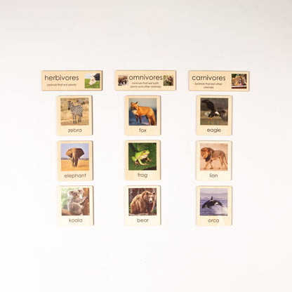 Montessori Herbivores, Carnivores, and Omnivores Classification Set - Zoology Animal Sorting Material