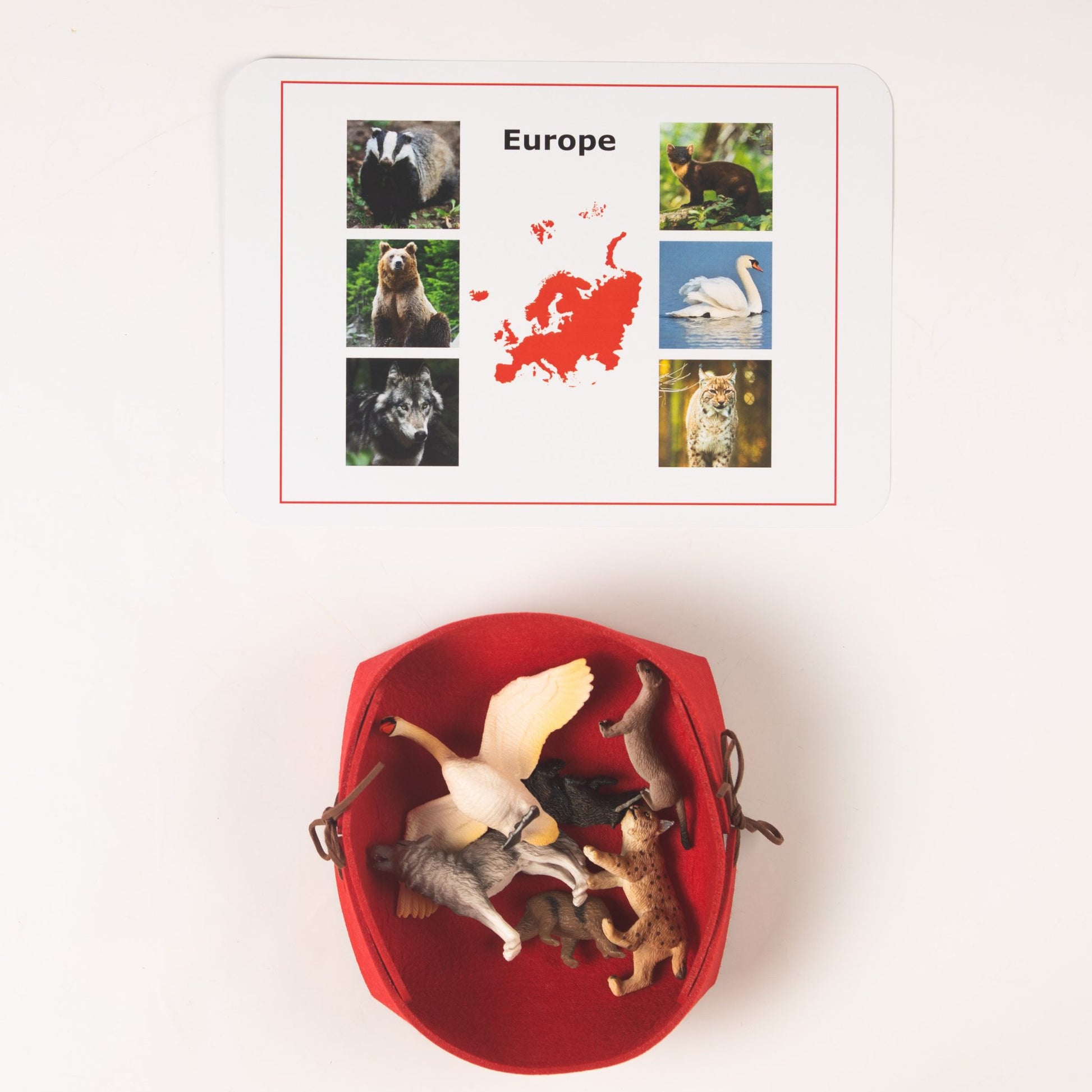 Montessori Europe continent animal classification set with control card and animal figures