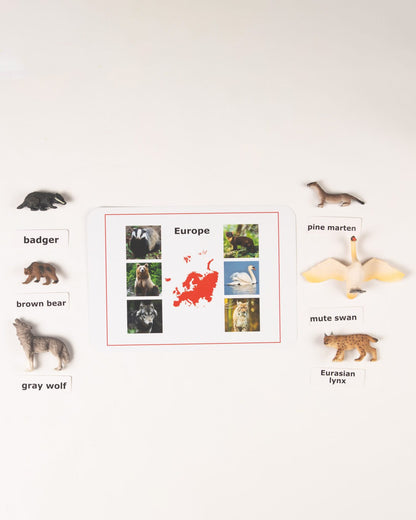 Montessori Europe animals nomenclature activity with labeled animal figures for continent study