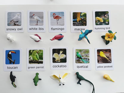 Montessori Animal Matching Set - Exotic Birds - Figurines and Cards