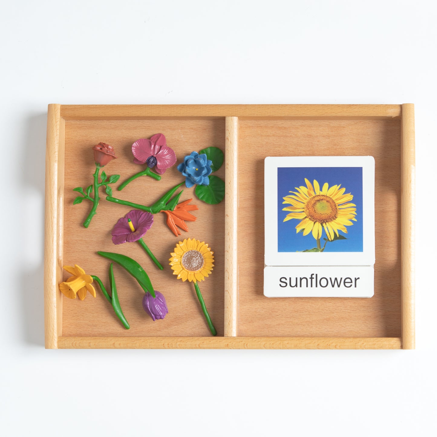 Montessori flower classification set with 3-part nomenclature cards and mini objects for botany learning