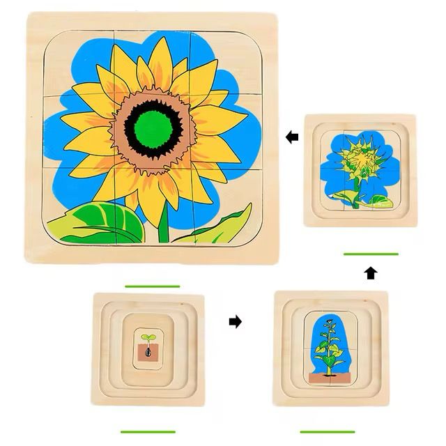 Montessori frog life cycle puzzle for teaching metamorphosis, nature study, and fine motor skills