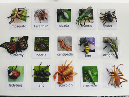 Montessori Animal Matching Set - Insects - Figurines and Cards