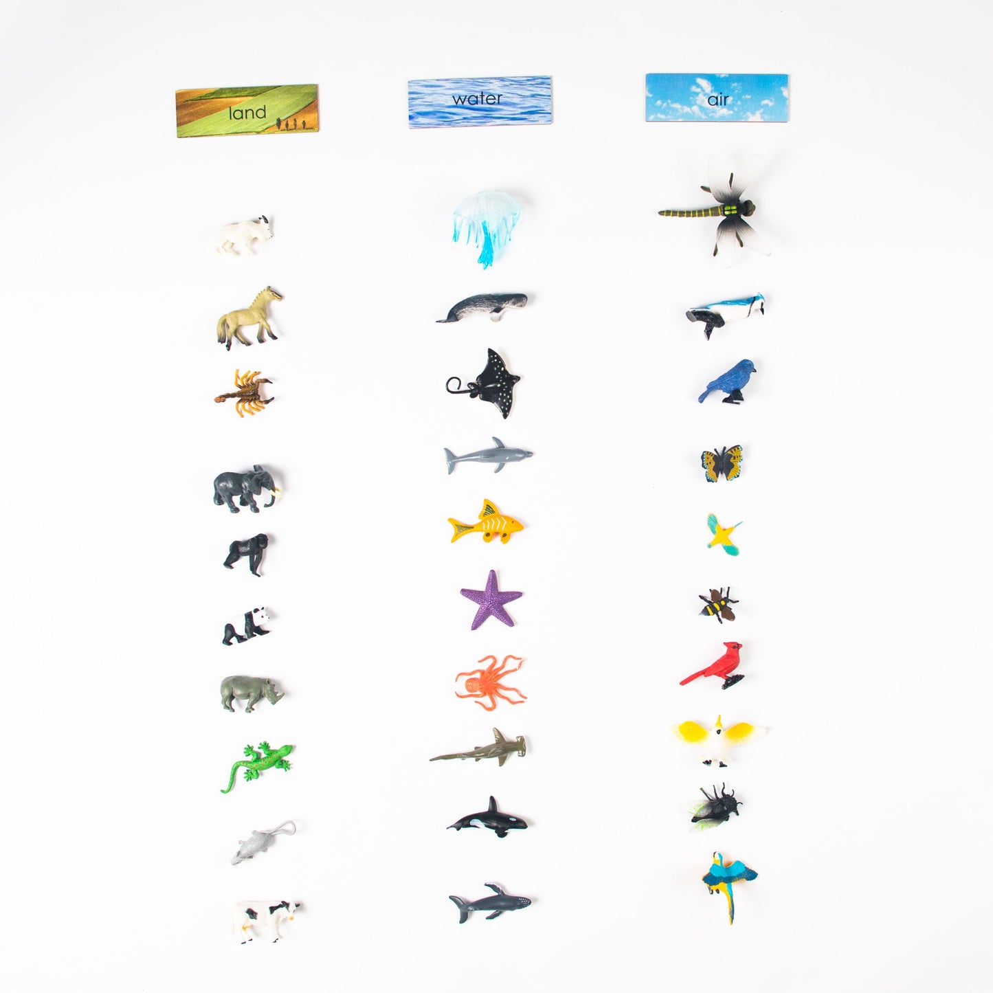 Montessori land water and air classification set with animal sorting materials for preschool learning