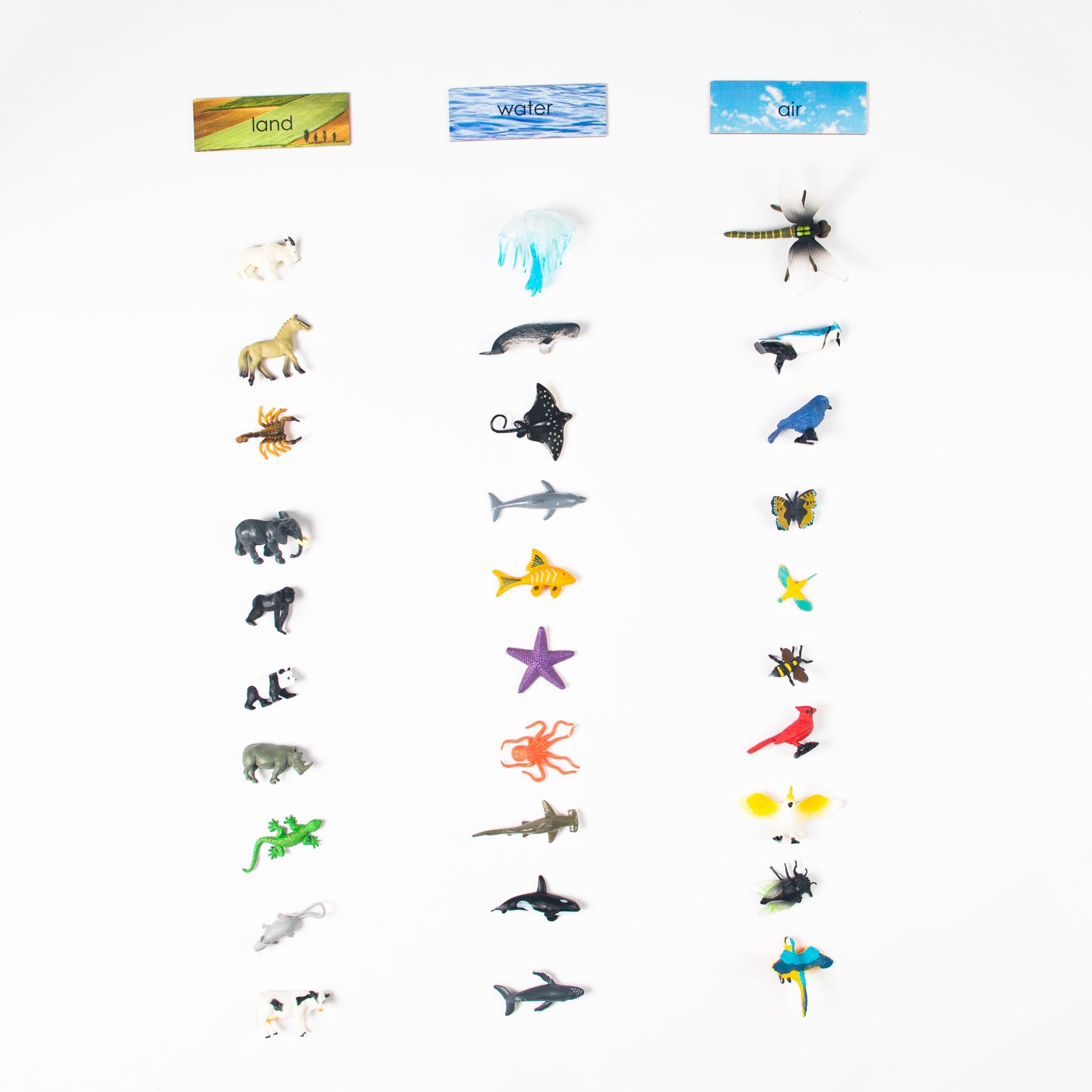 Montessori land water and air classification set with animal sorting materials for preschool learning