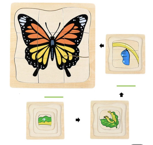 Montessori wooden layered butterfly life cycle puzzle for preschool sequencing and science learning