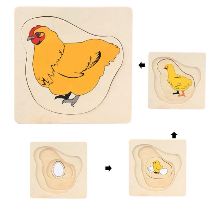 Montessori wooden layered chicken life cycle puzzle for preschool biology learning and fine motor development