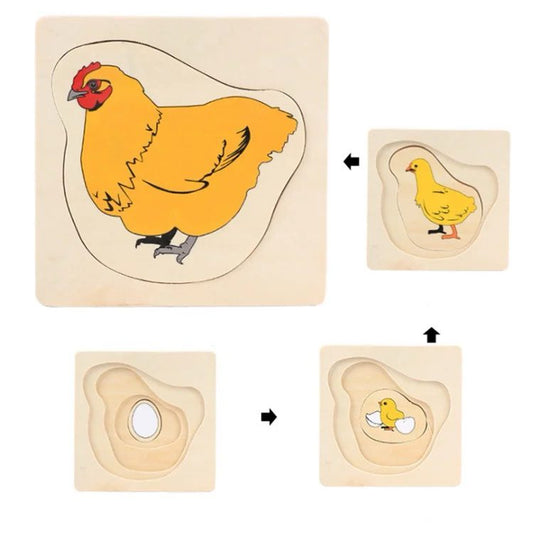 Montessori wooden layered chicken life cycle puzzle for preschool biology learning and fine motor development