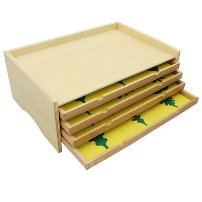 Montessori leaf cabinet drawer set designed for organizing botanical leaf insets and classification work