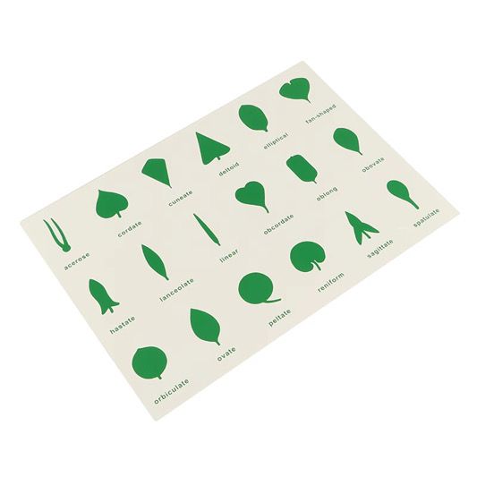 Montessori botany leaf cards and control charts for identifying and classifying different leaf shapes