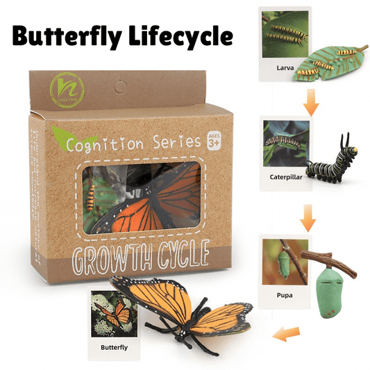 Montessori Life Cycle of a Butterfly - Figurines and Matching Cards
