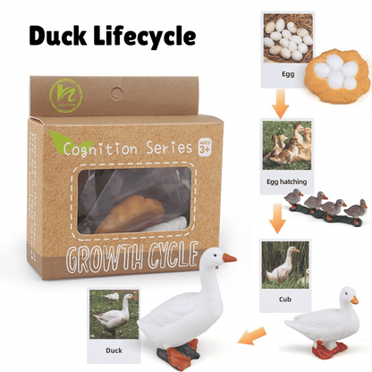 Montessori Life Cycle - Bundle (27 Sets) - Figurines and Matching Cards