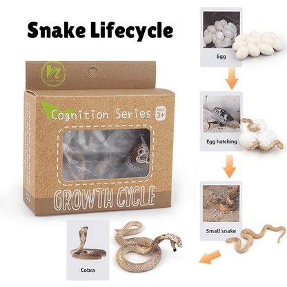 Montessori Life Cycle - Bundle (27 Sets) - Figurines and Matching Cards