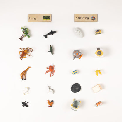 Montessori living and non-living classification set with animal figures and object cards for early childhood learning