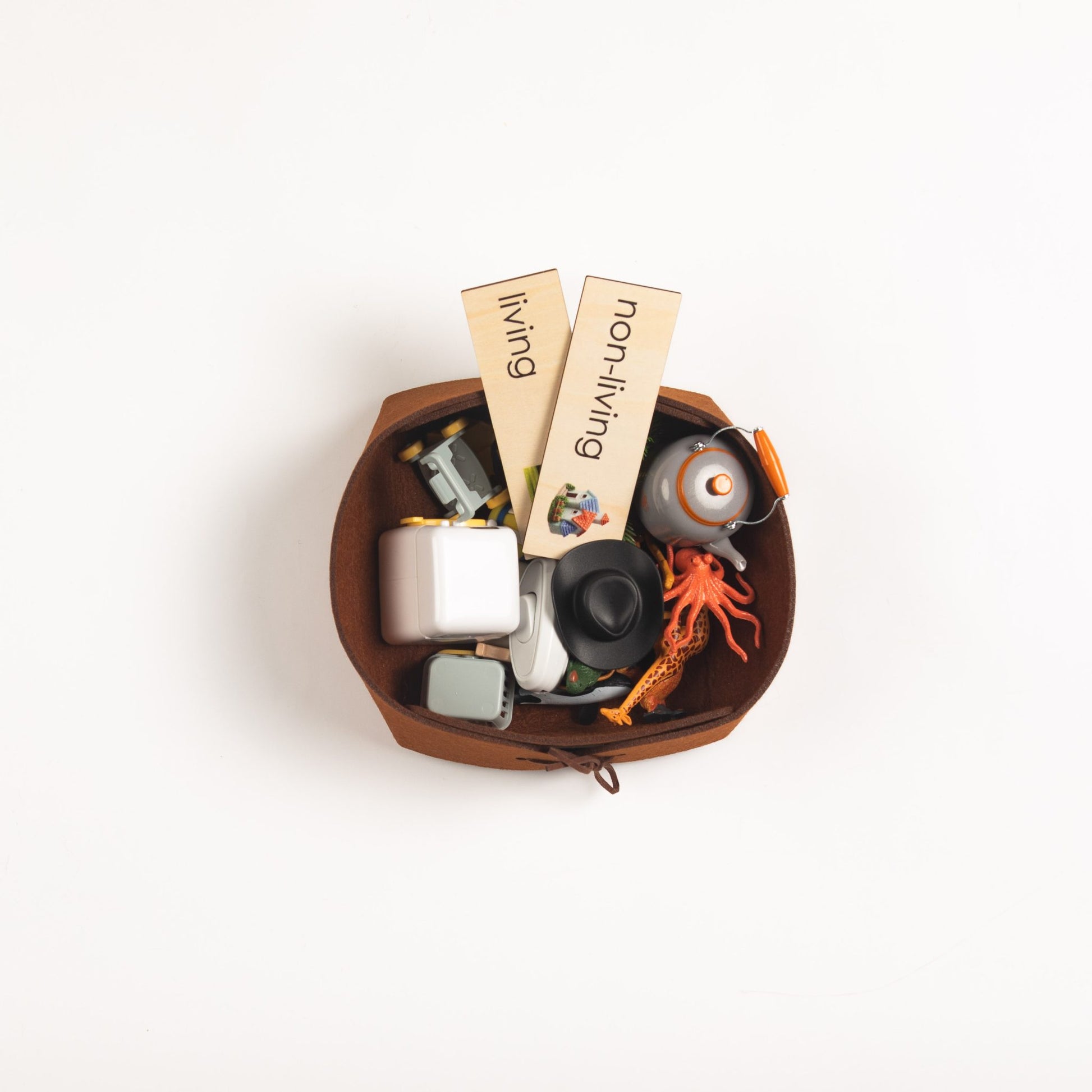 Montessori zoology material showing animal figures used for living objects classification activity