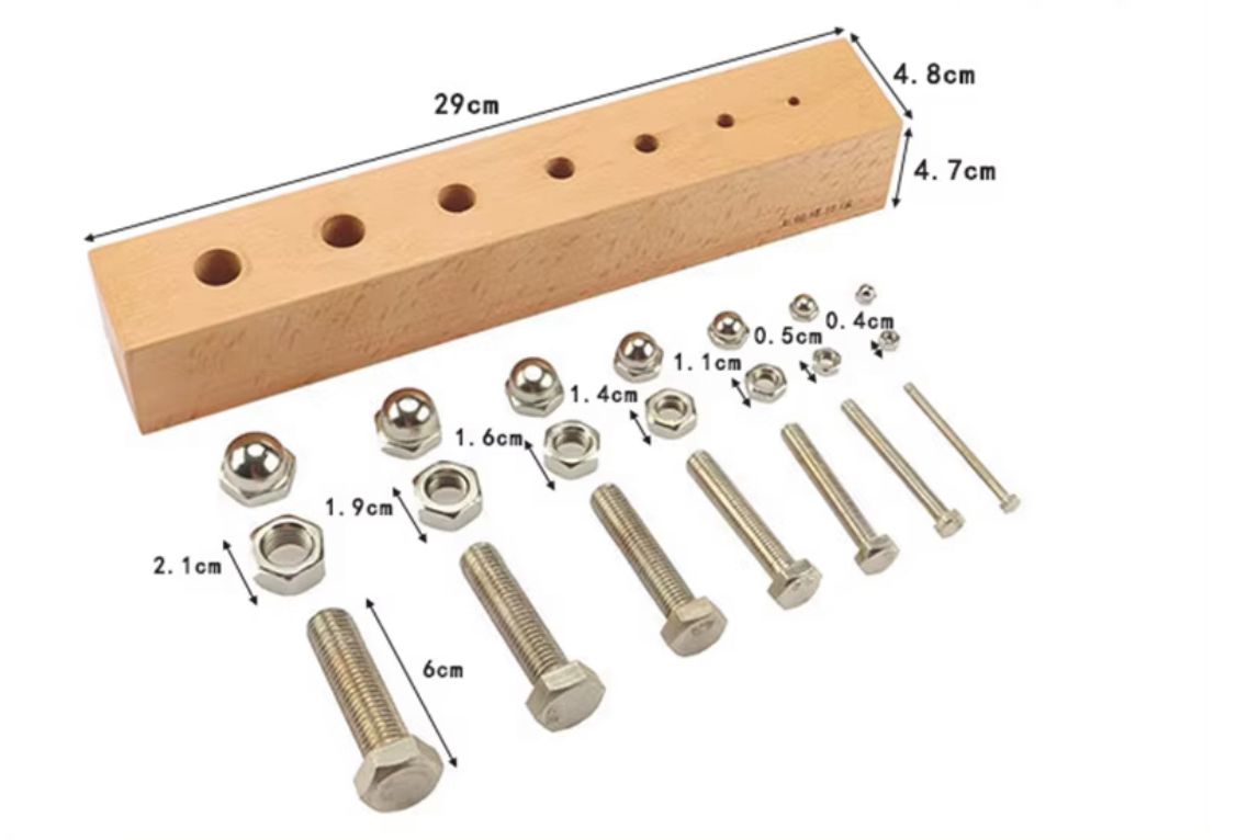 Montessori nuts and bolts assembly activity designed to improve fine motor skills and concentration
