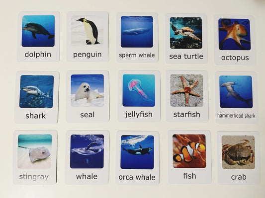 Montessori Animal Matching Set - Ocean Animals - Figurines and Cards