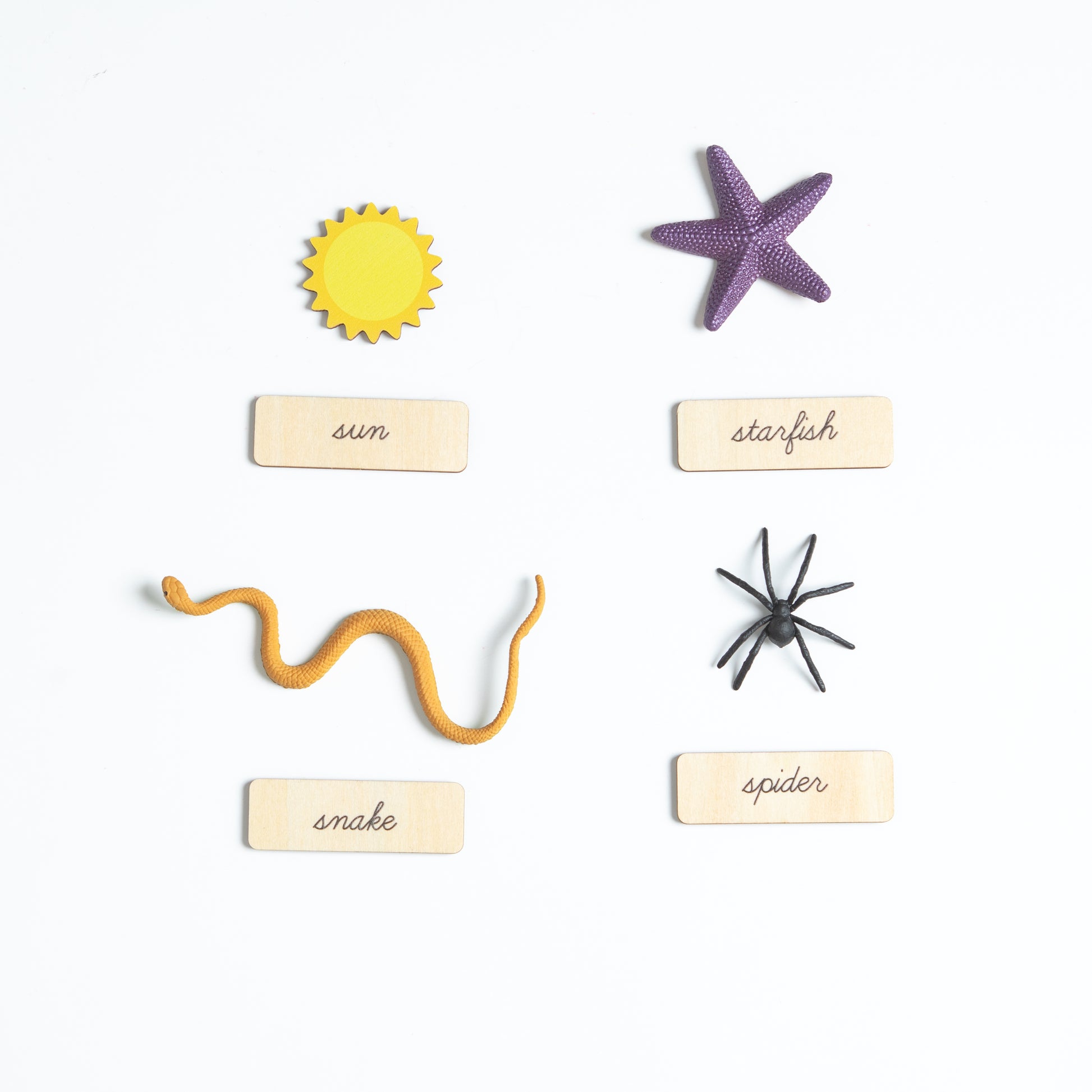 Montessori phonetic objects learning kit for alphabet sound recognition