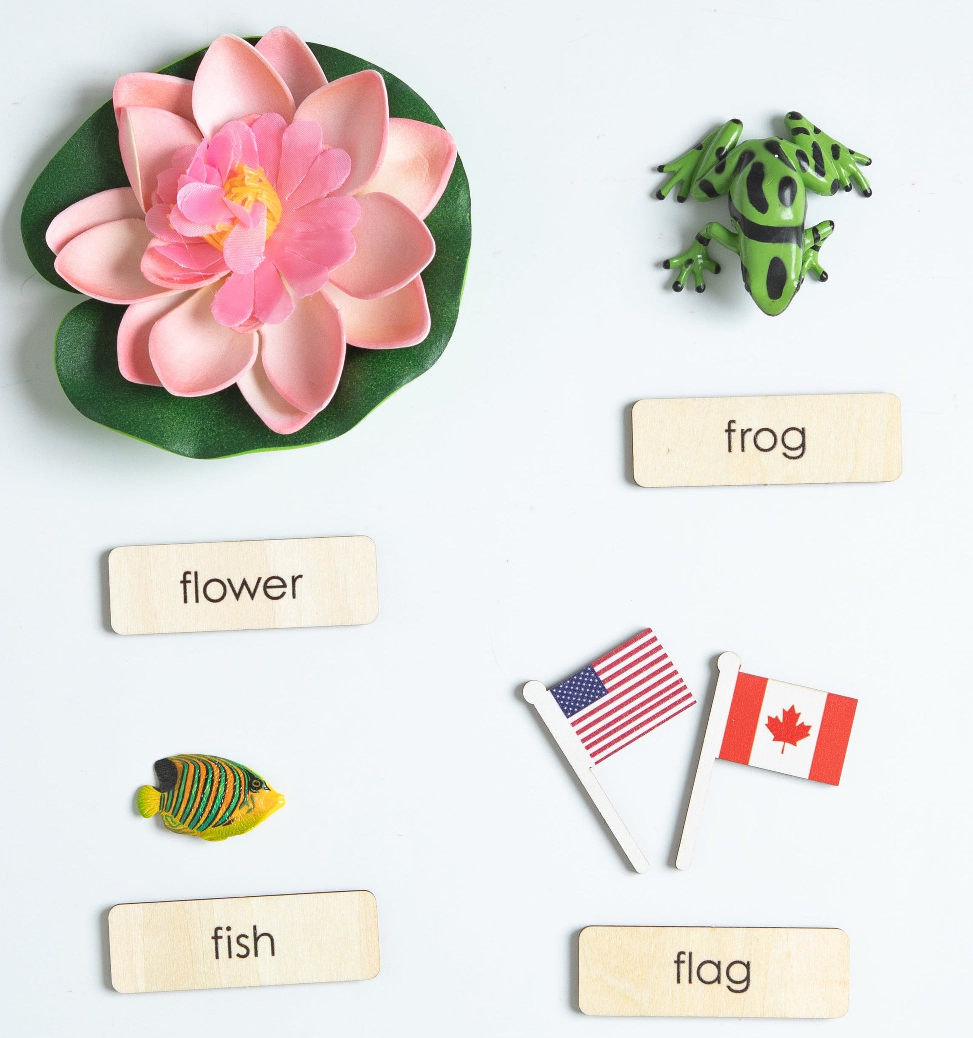 Montessori phonics objects for letters E to H using real miniature items