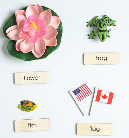 Montessori phonics objects for letters E to H using real miniature items