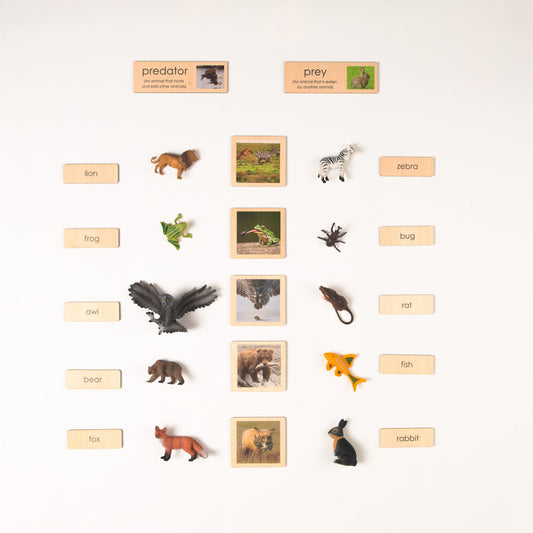 Montessori Prey and Predator Classification Set - Zoology Animal Sorting Material with Wooden Cards