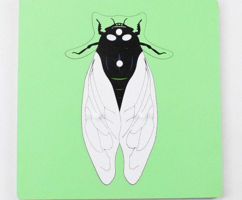 Montessori Science Puzzle Set - Zoology and Botany Knob Puzzles for Hands-On Learning