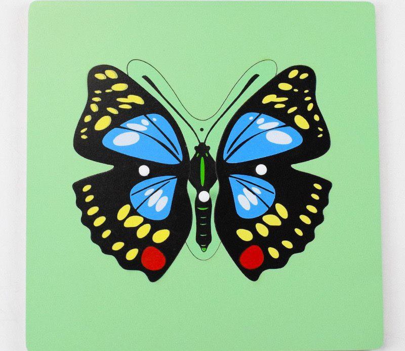 Montessori Science Puzzle Set - Zoology and Botany Knob Puzzles for Hands-On Learning