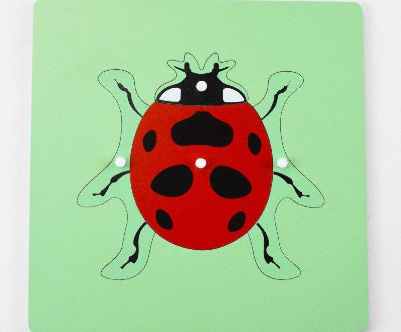 Montessori Science Puzzle Set - Zoology and Botany Knob Puzzles for Hands-On Learning