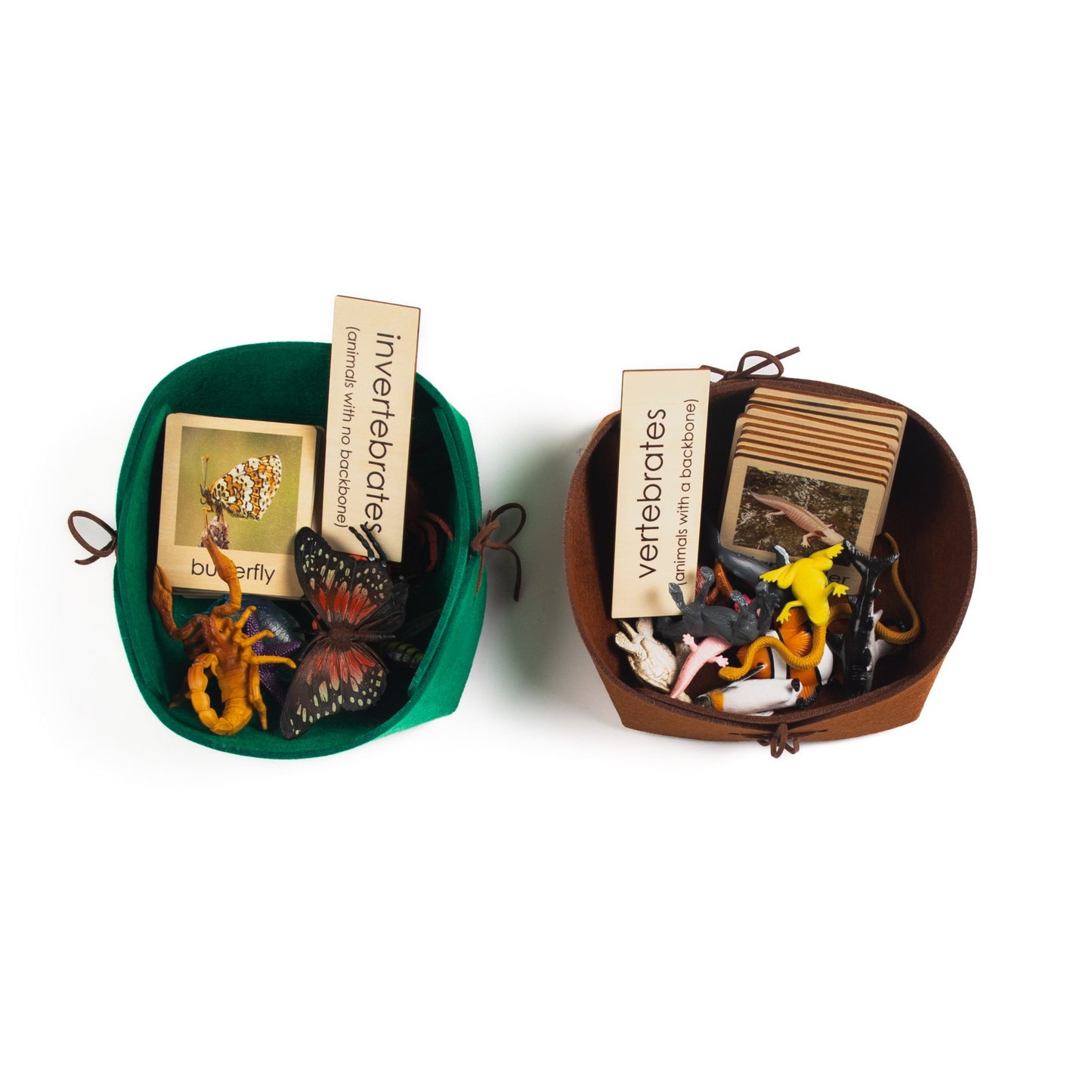 Montessori Vertebrates and Invertebrates Classification Set - Zoology Animal Sorting Material