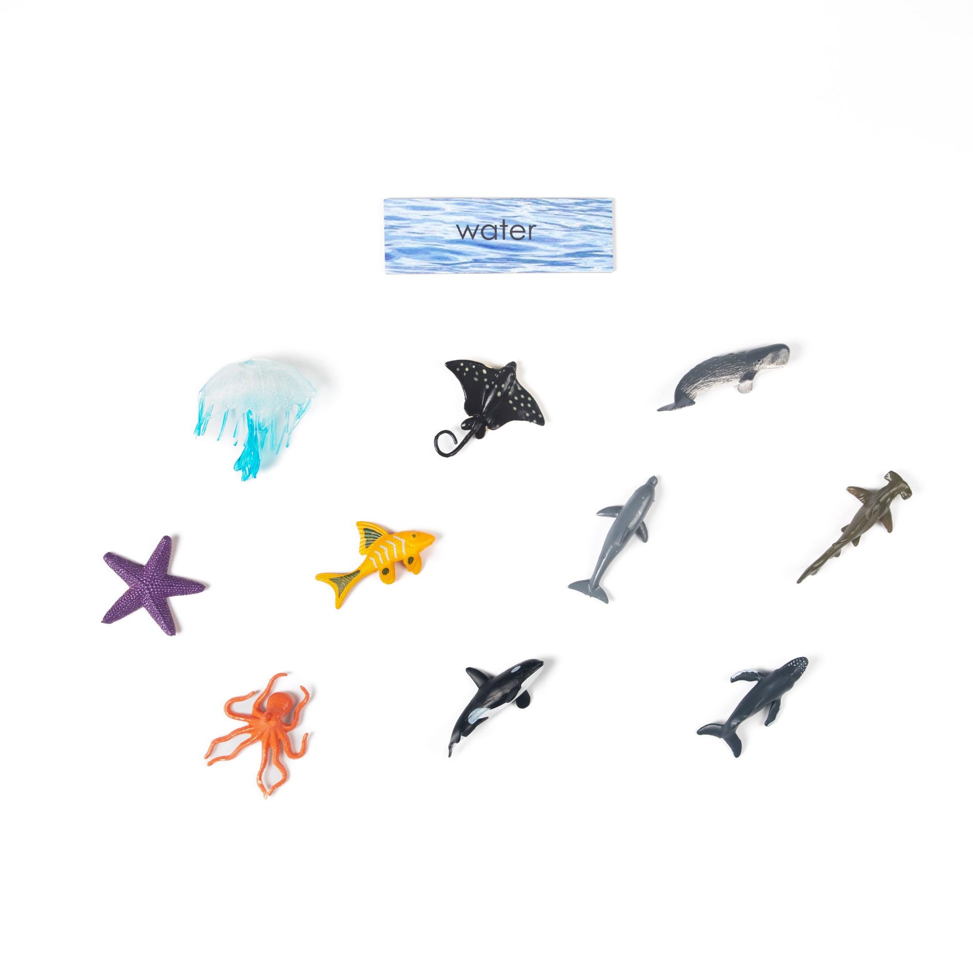 Montessori water animals sorting material for early childhood science education
