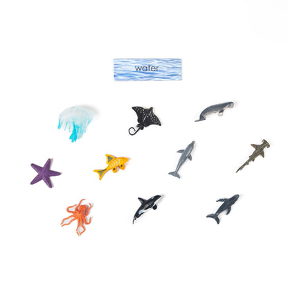 Montessori water animals sorting material for early childhood science education