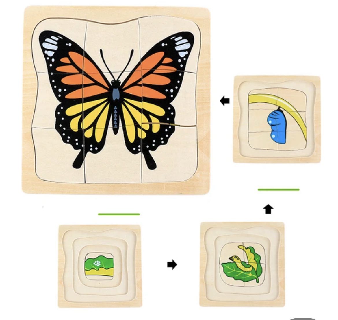Montessori Wooden Layered Life Cycle Puzzle - Butterfly