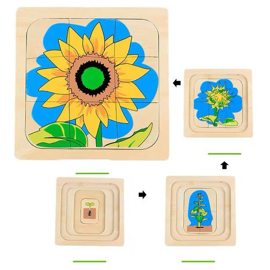 Montessori Wooden Layered Life Cycle Puzzle - Sunflower