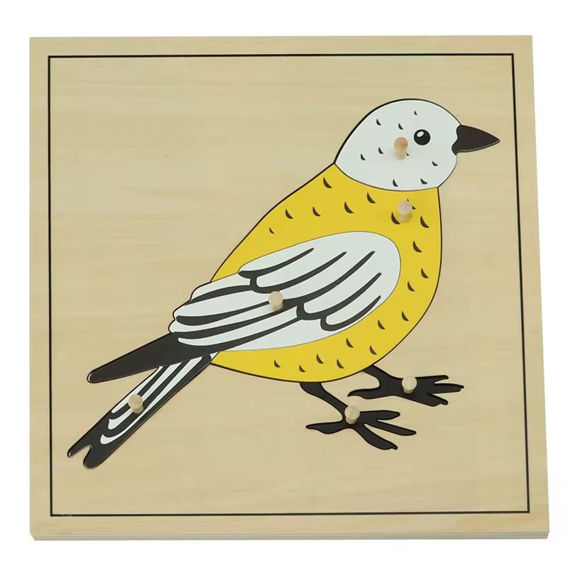 Montessori zoology bird puzzle with wooden knobs for learning parts of a bird