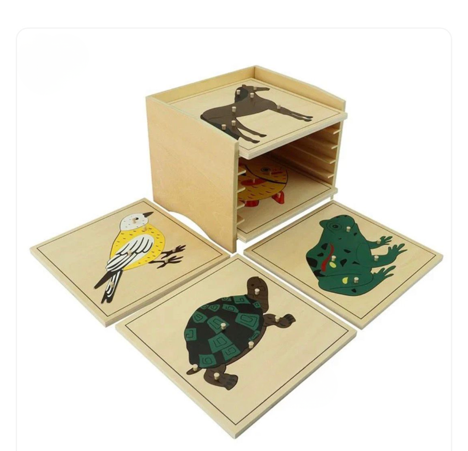 Botany and Zoology – Hands-On Montessori Store
