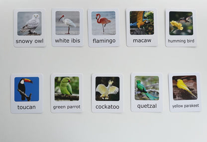 Montessori Animal Matching Set - Exotic Birds - Figurines and Cards