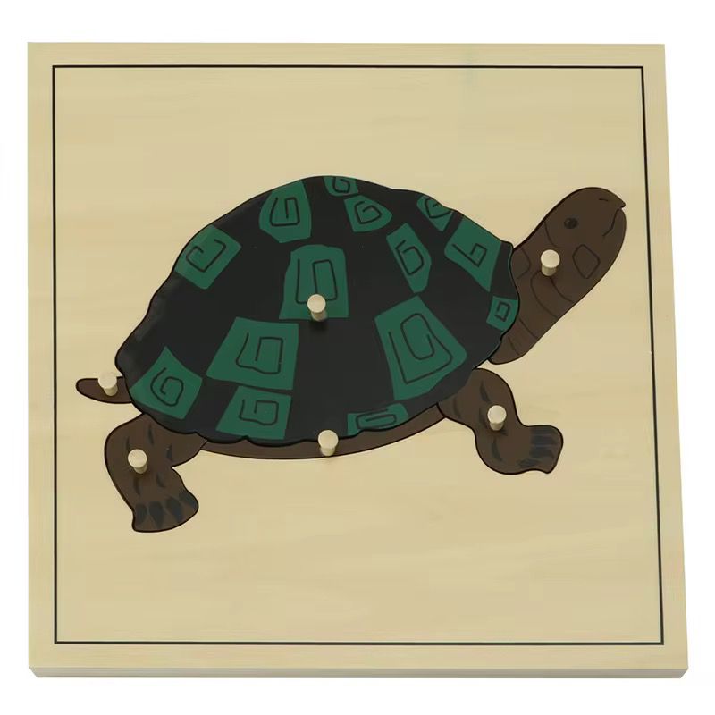 Montessori zoology turtle puzzle with wooden knobs for learning parts of a turtle